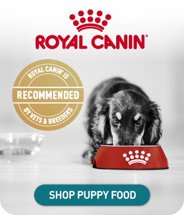 Shop Puppy Food