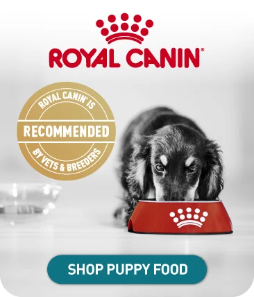 Shop Puppy Food