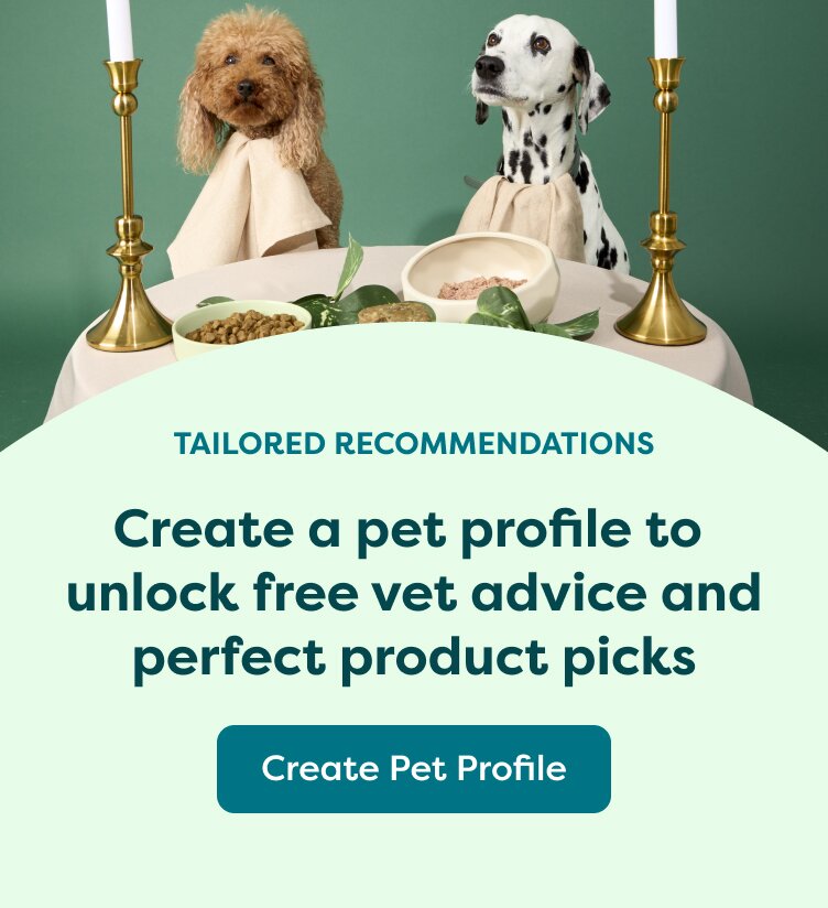 create a pet profile
