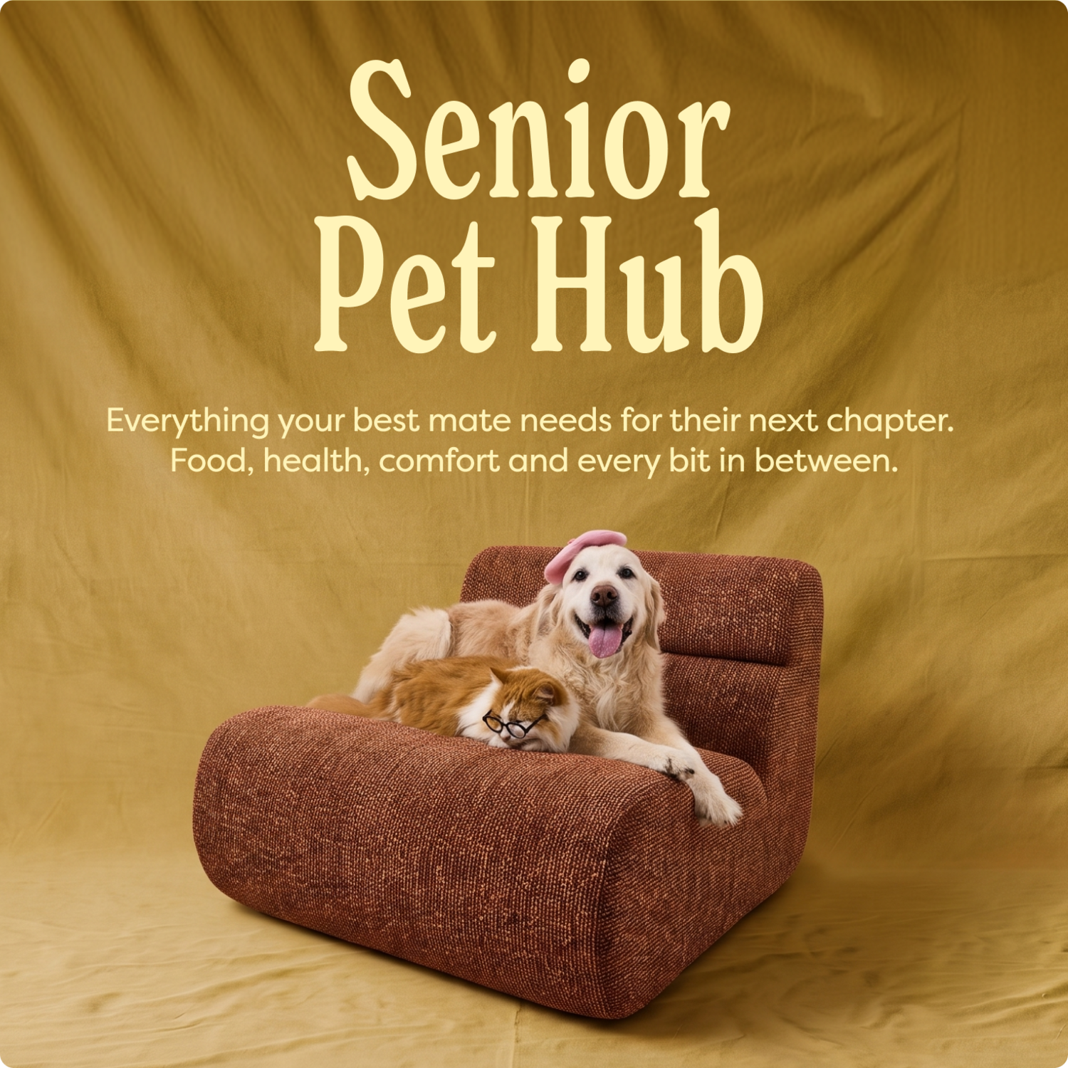 Senior Pet Hub
