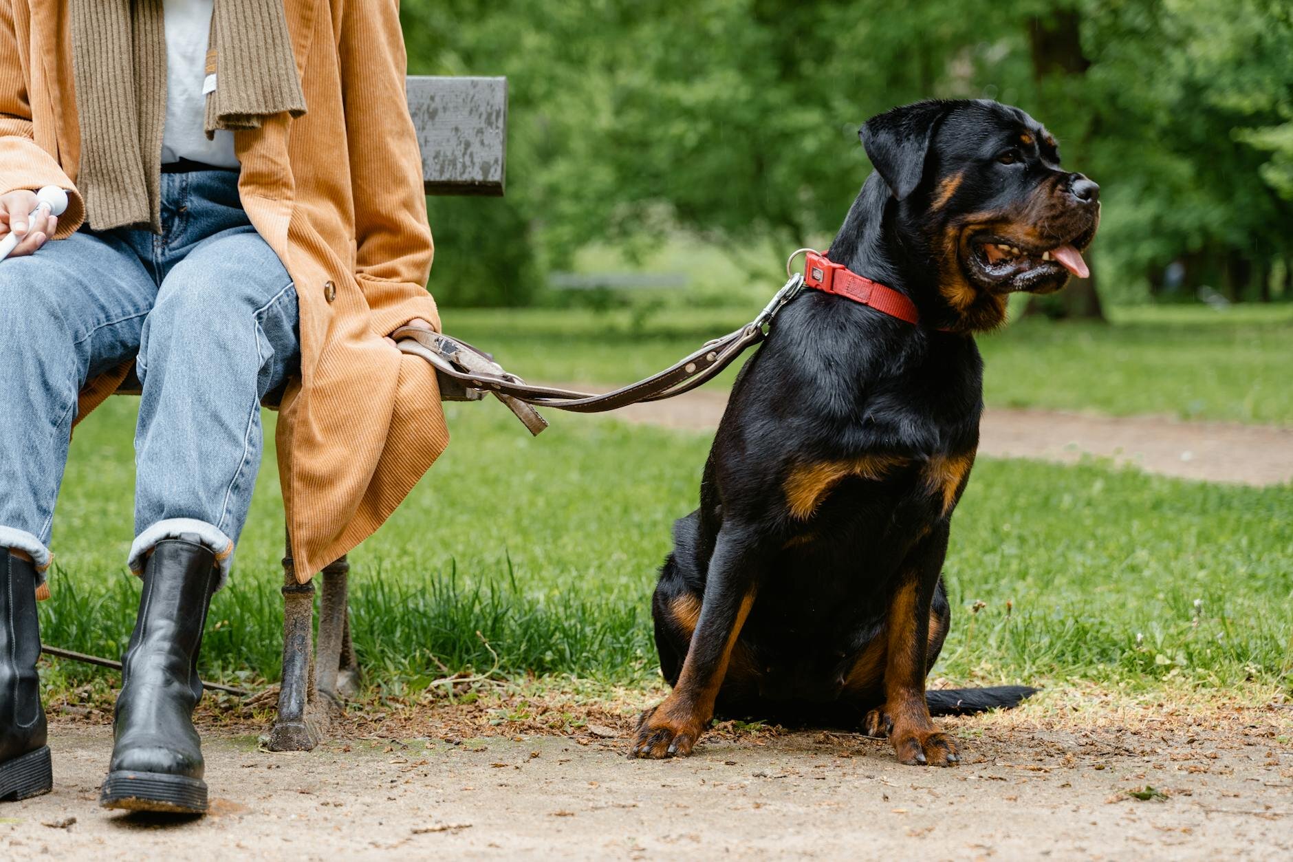 Lady sitting on a bench holding the lead of her Rottweiler sitting on the ground beside her