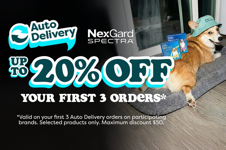 Auto delivery offer