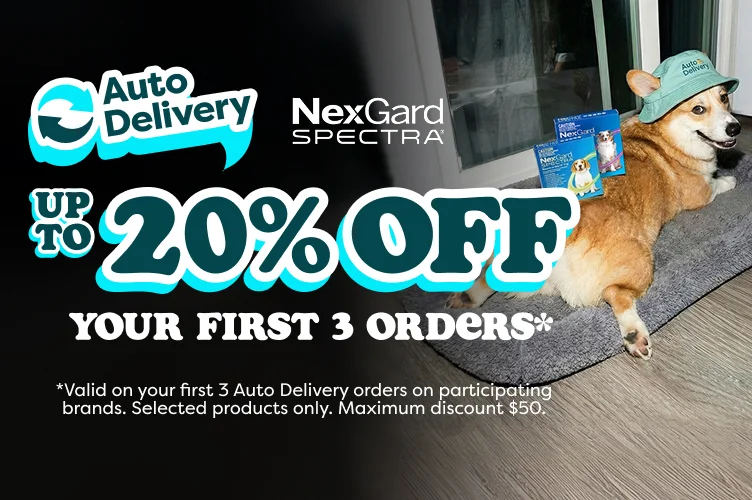 Auto delivery offer
