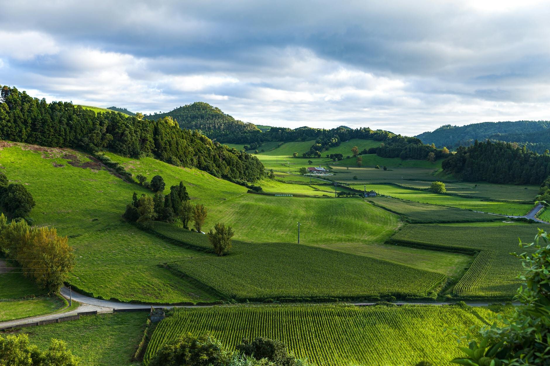 image of green farmland