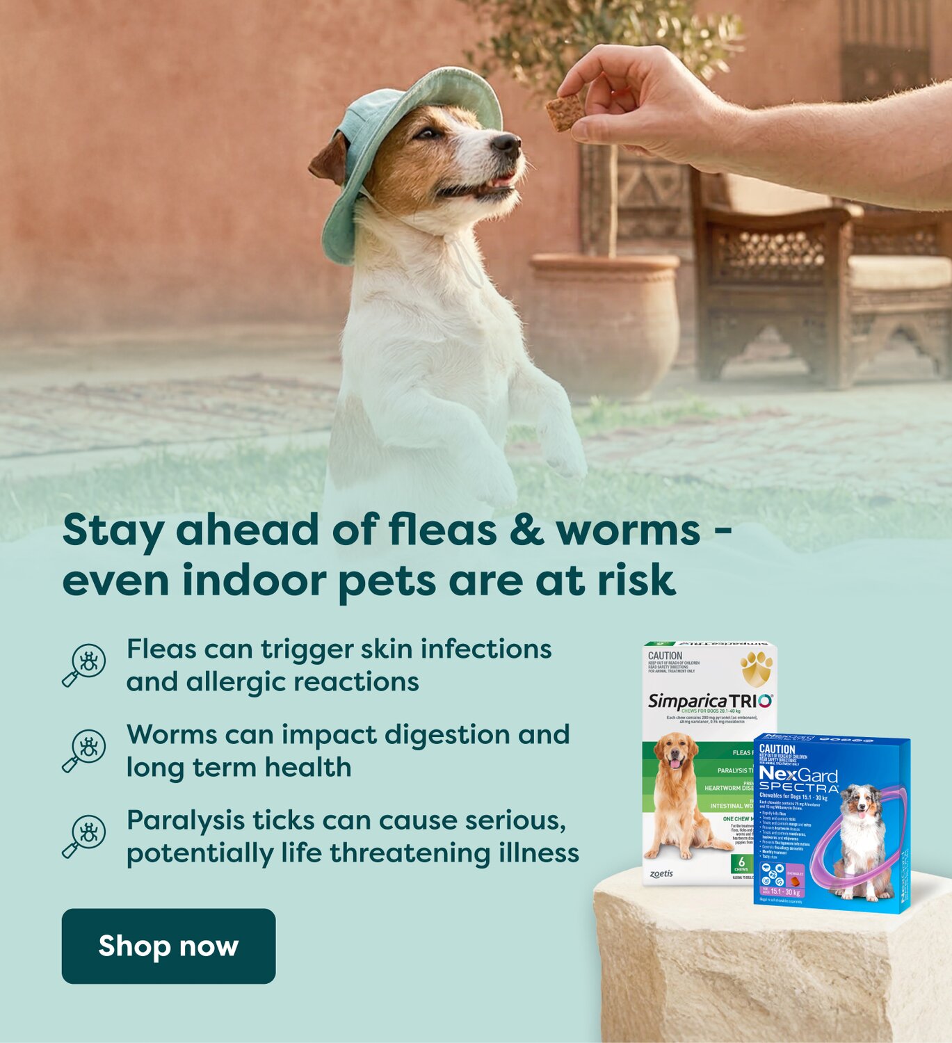 Stay ahead of fleas & worms