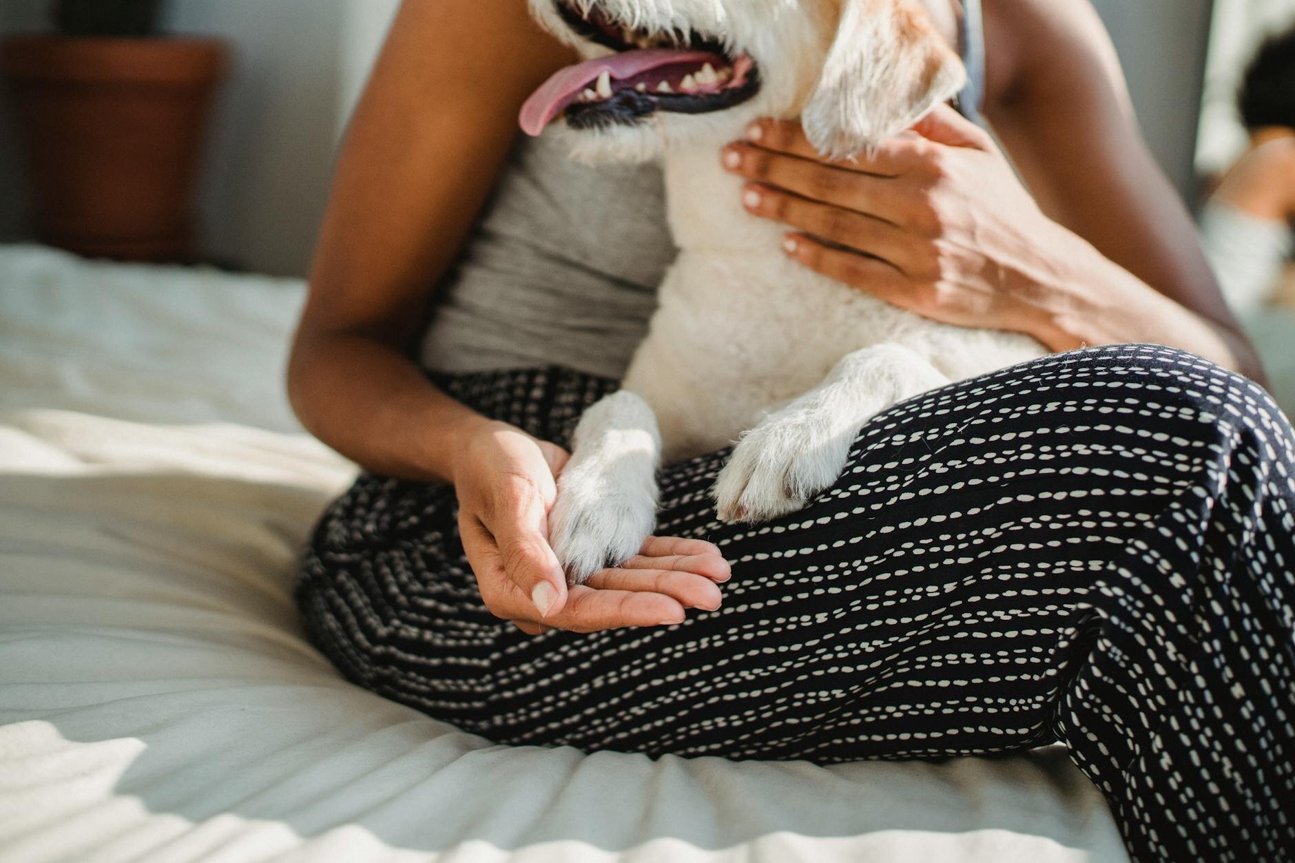 human holding a dog's paw in her hand