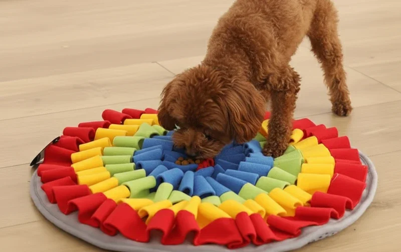 poodle eating from snuffle mat