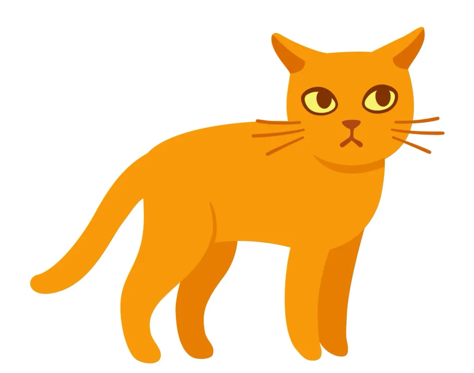 worried cat with ears out and tail down