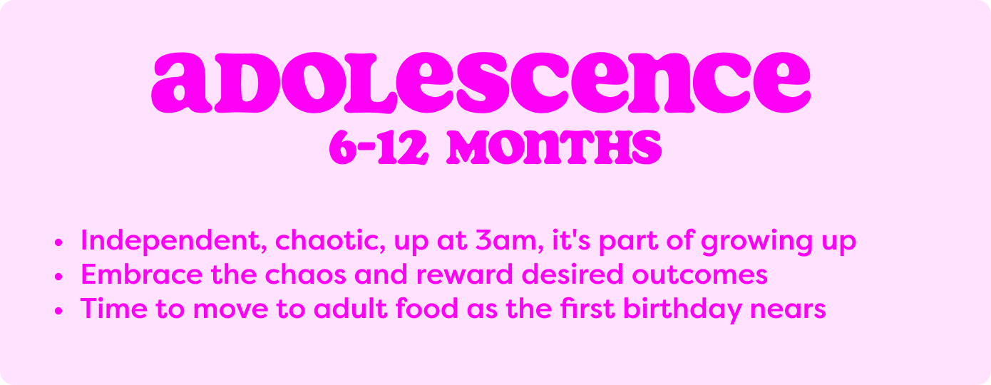 Adolescence 