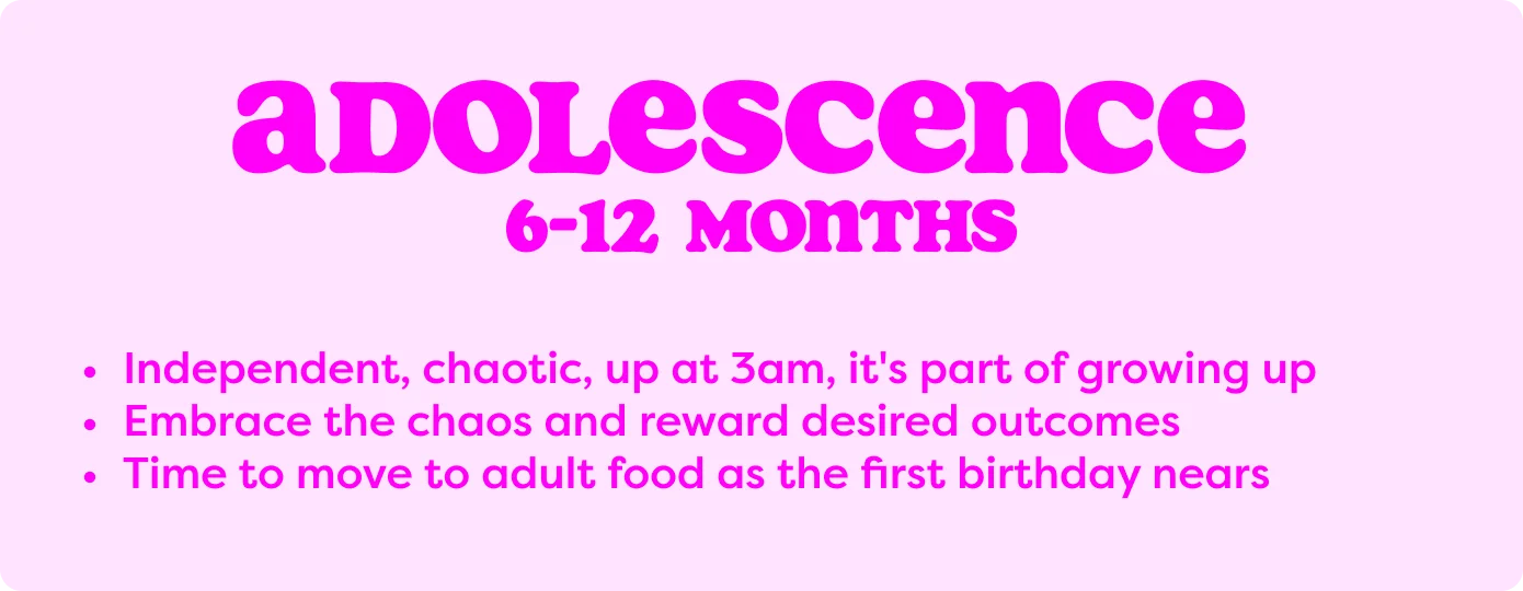 Adolescence 