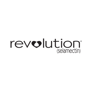 Revolution