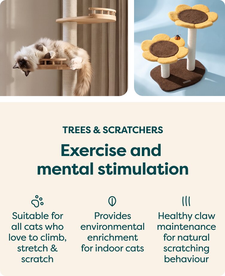 Trees & scratchers