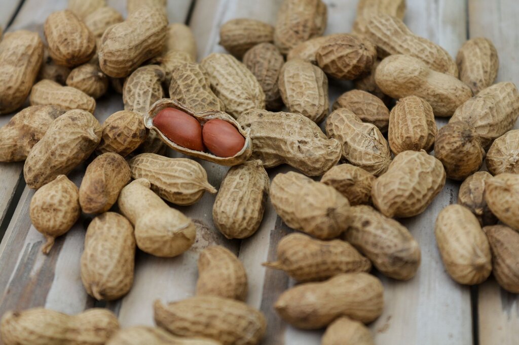 pile of peanuts in shell