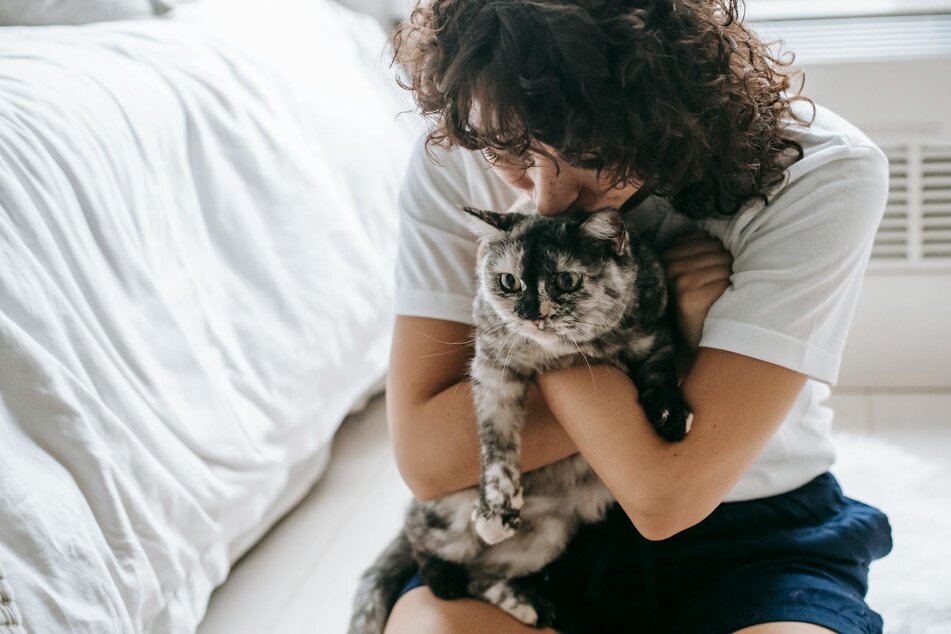 cat being cuddled