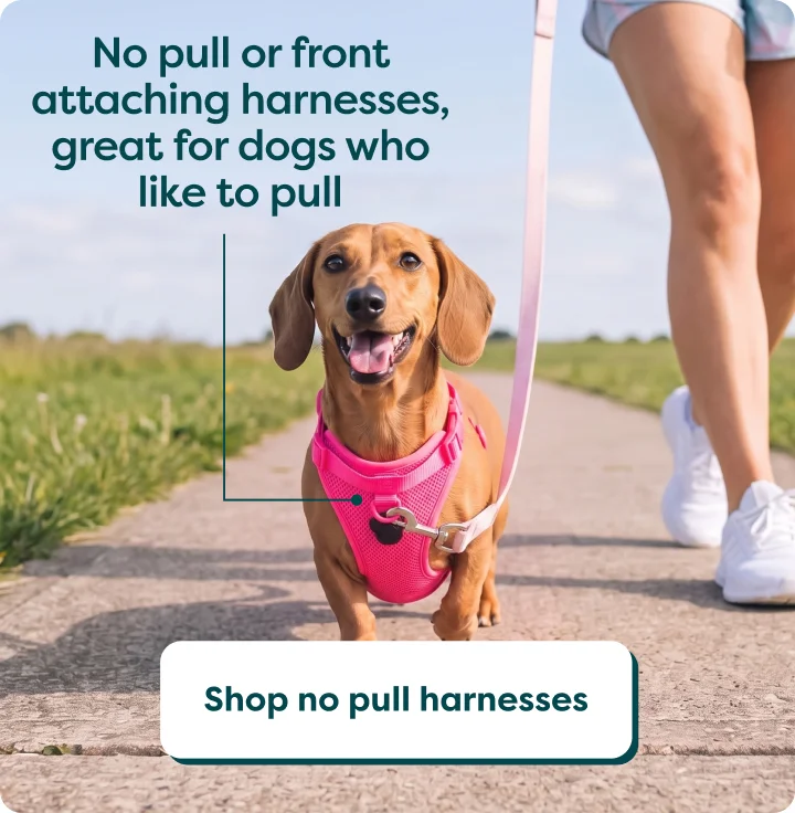 No pull harnesses