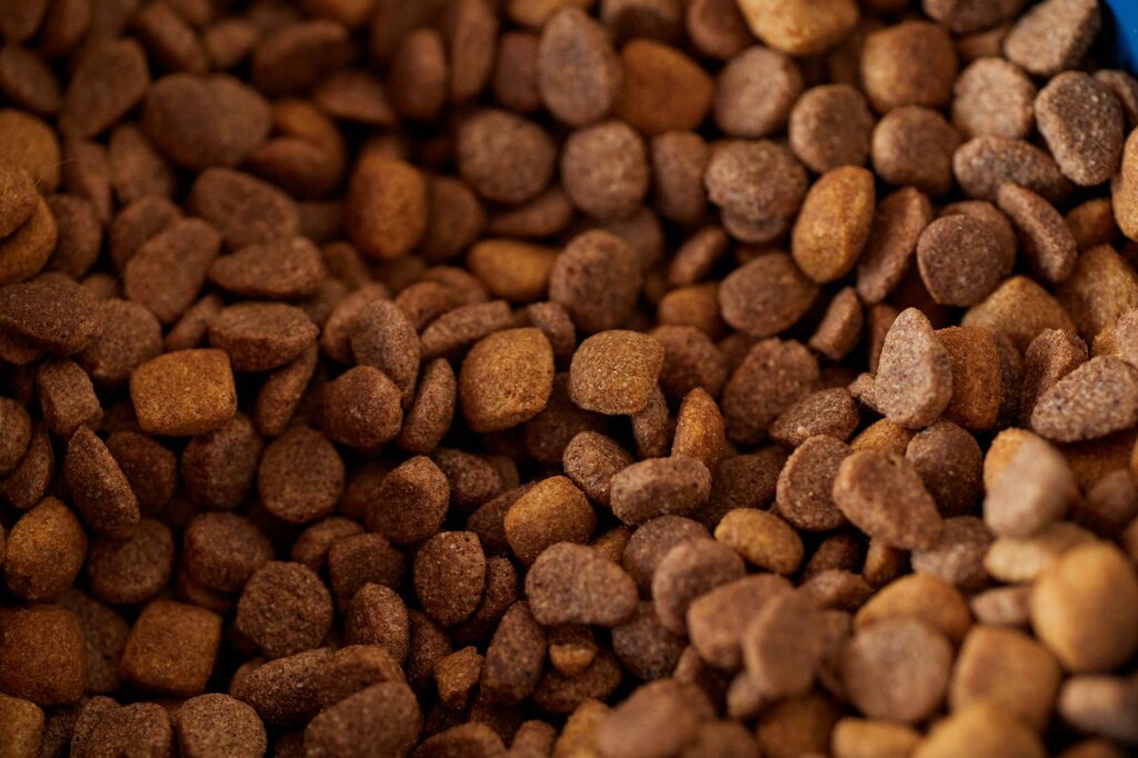 brown dog kibble