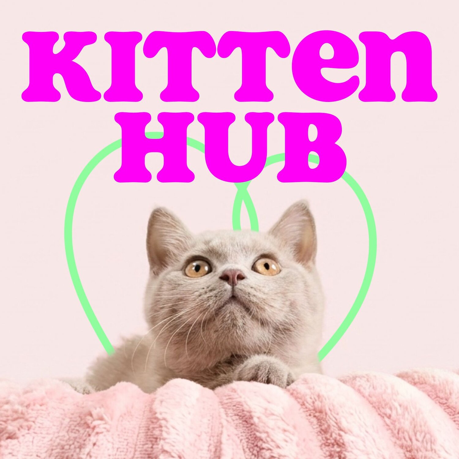 New pet hub