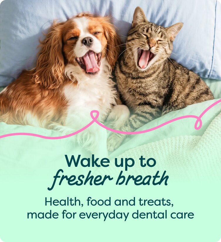 Wake up to fresher breath