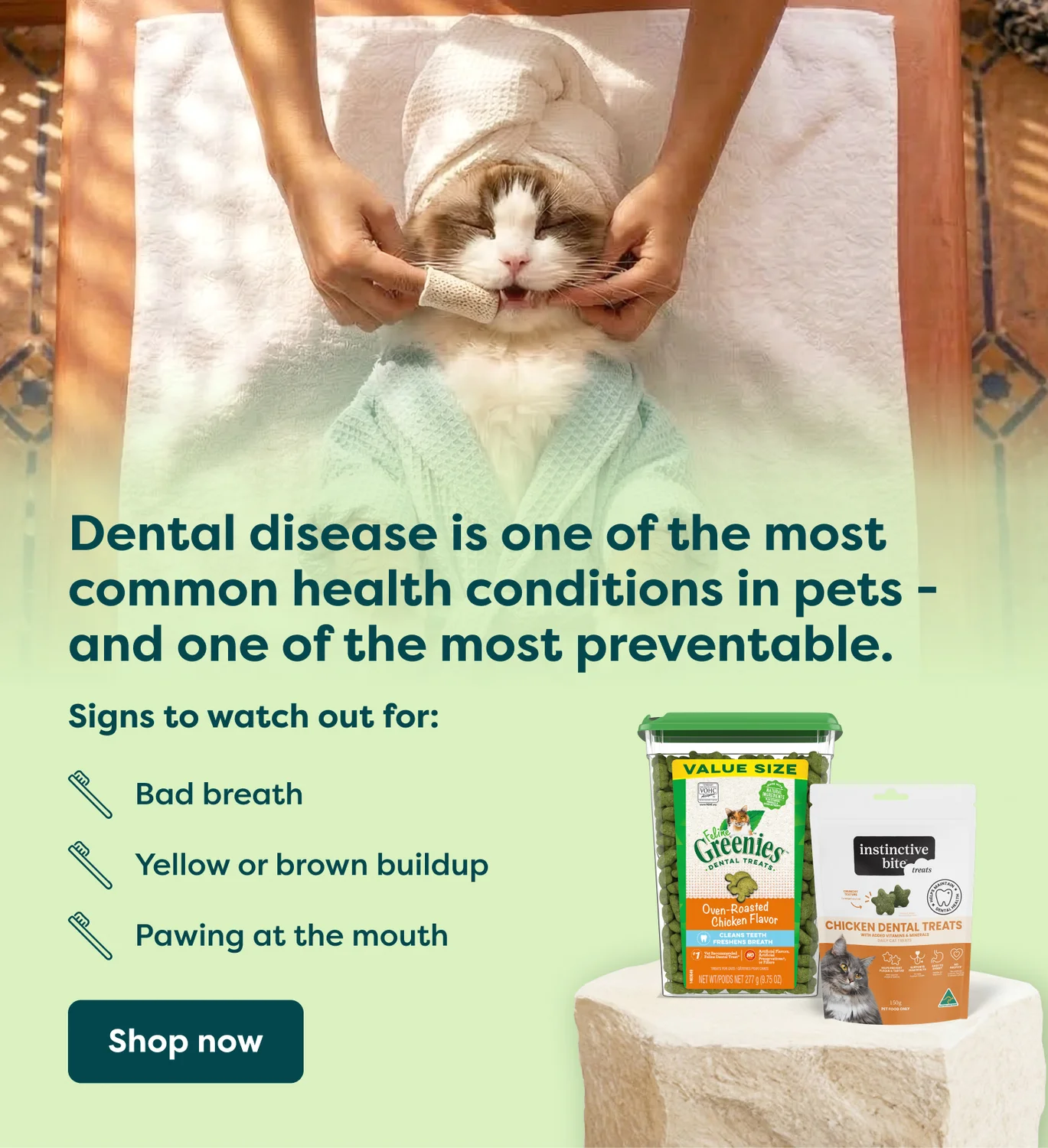 Dental diseases