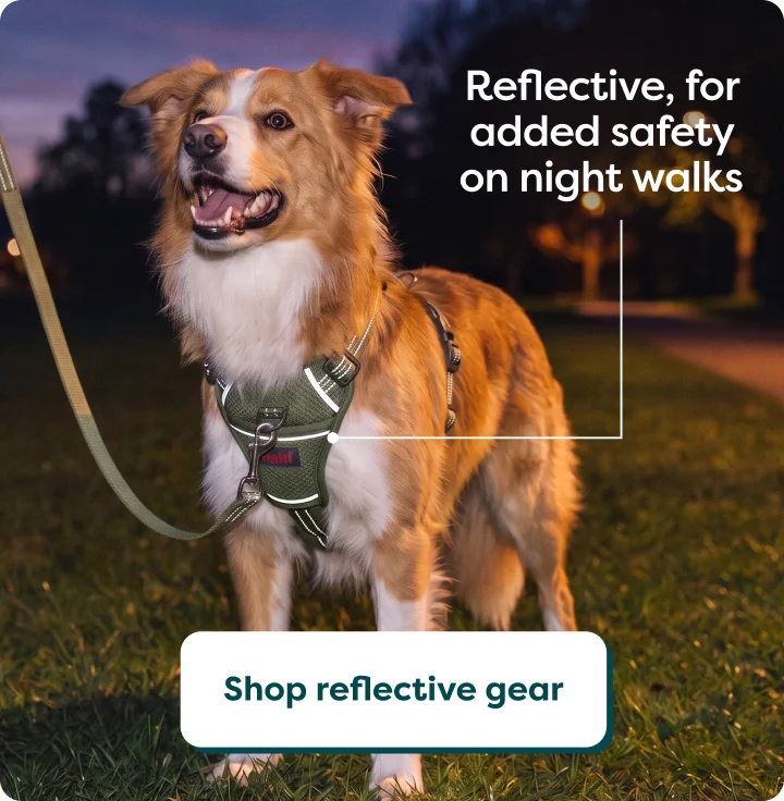 Reflective gears