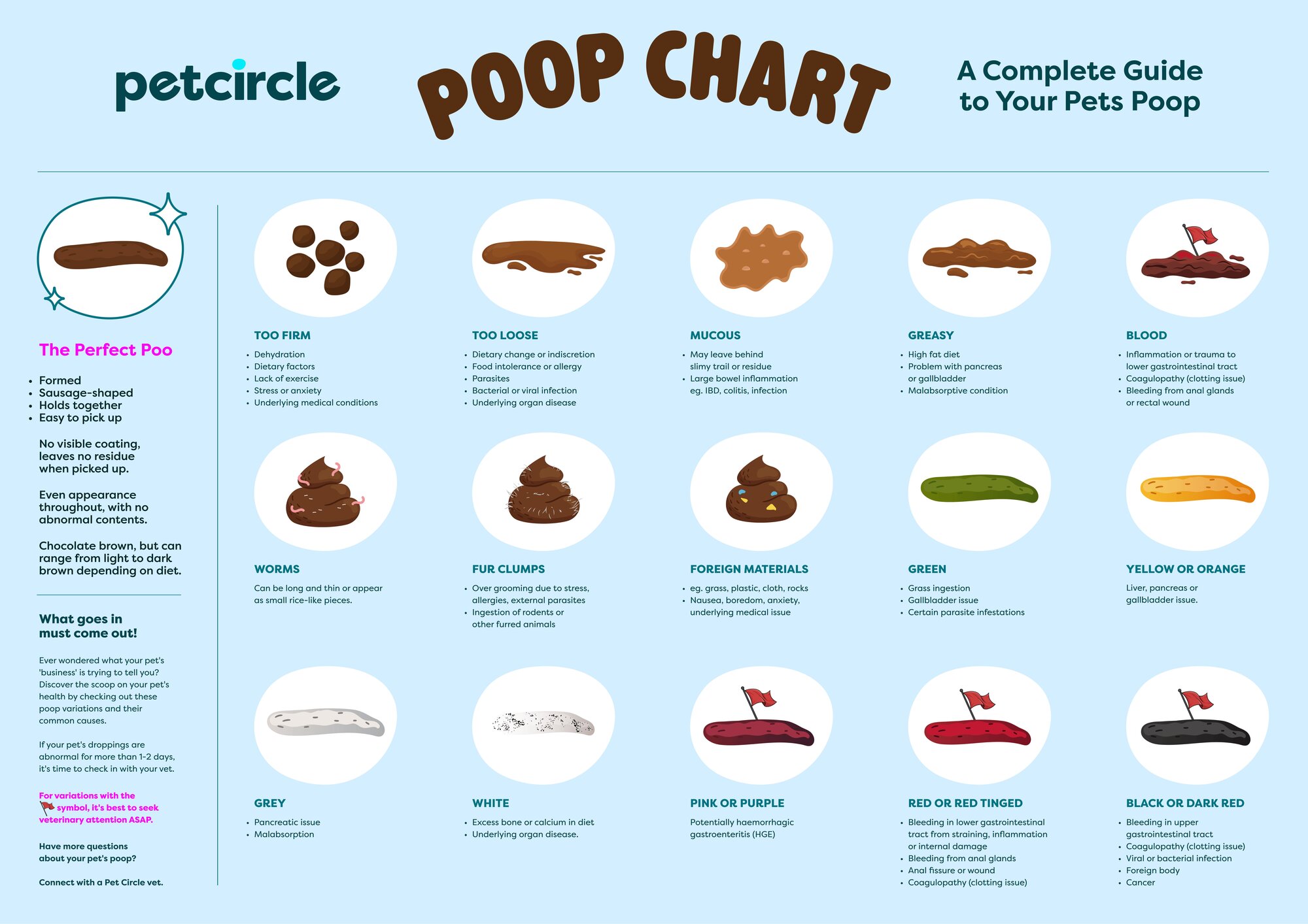a complete guide to your pet's poop