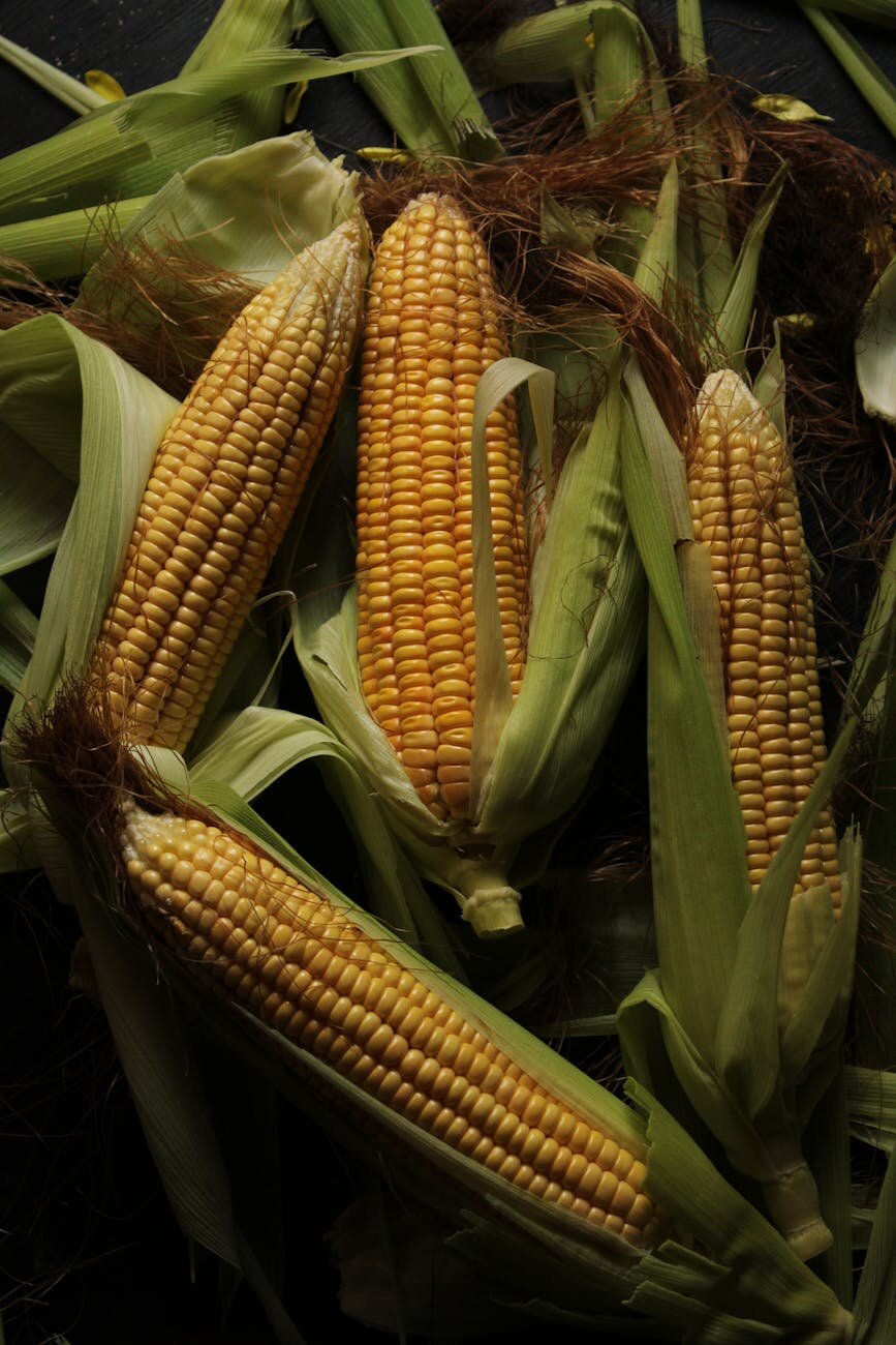 corn