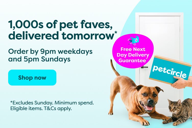 free next day delivery