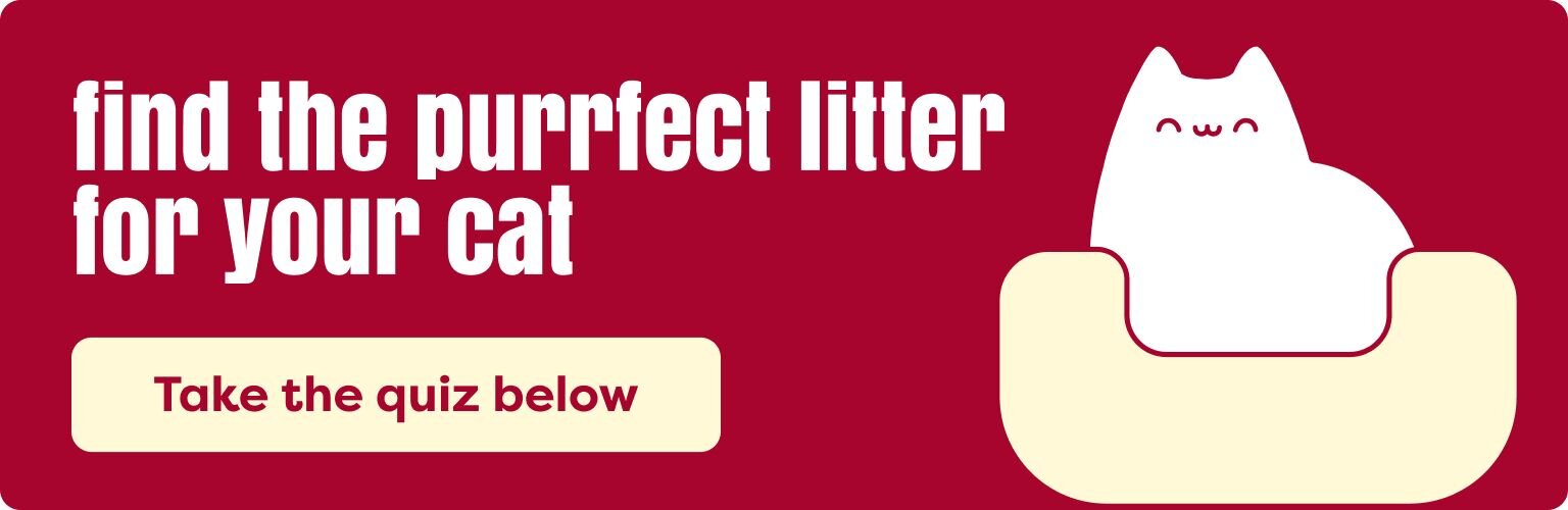 Find the purfect litter