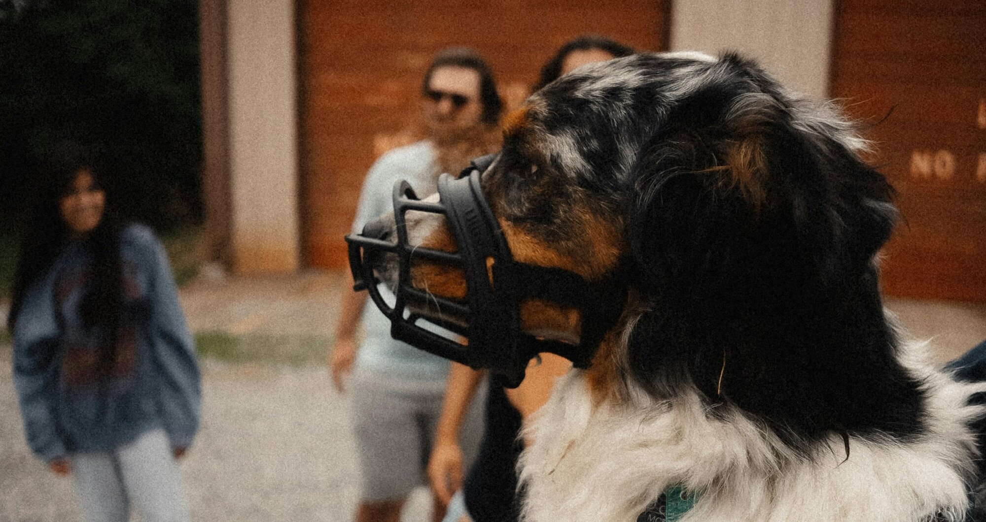side profile dog wearing muzzle
