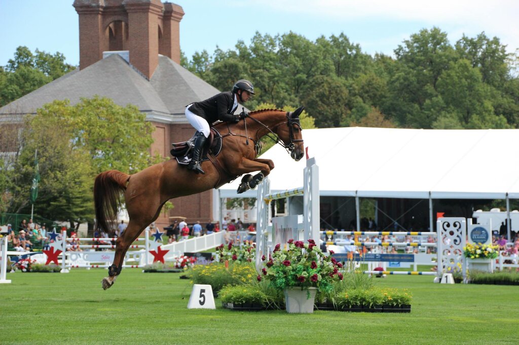 horse and rider show-jumping