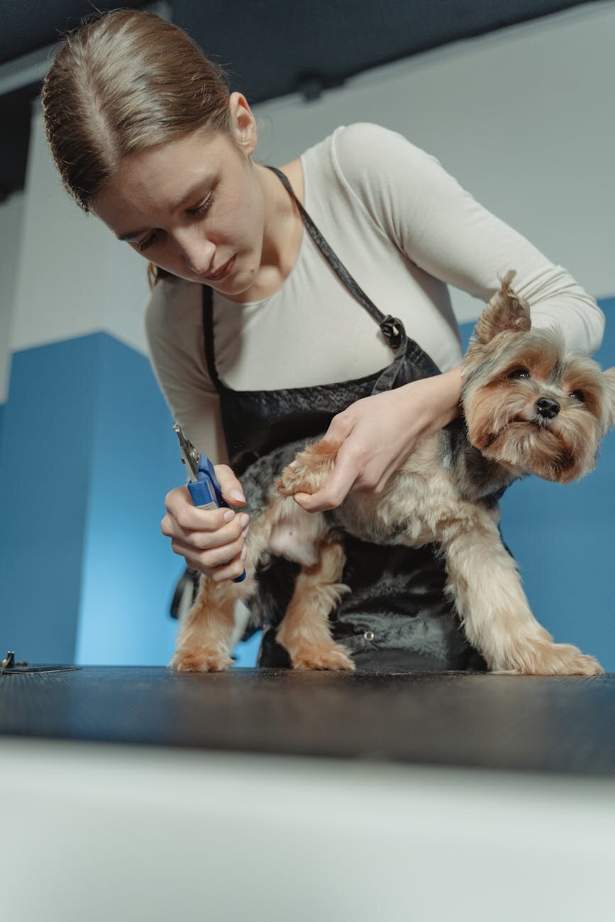 human holding a dog's paw in her hand