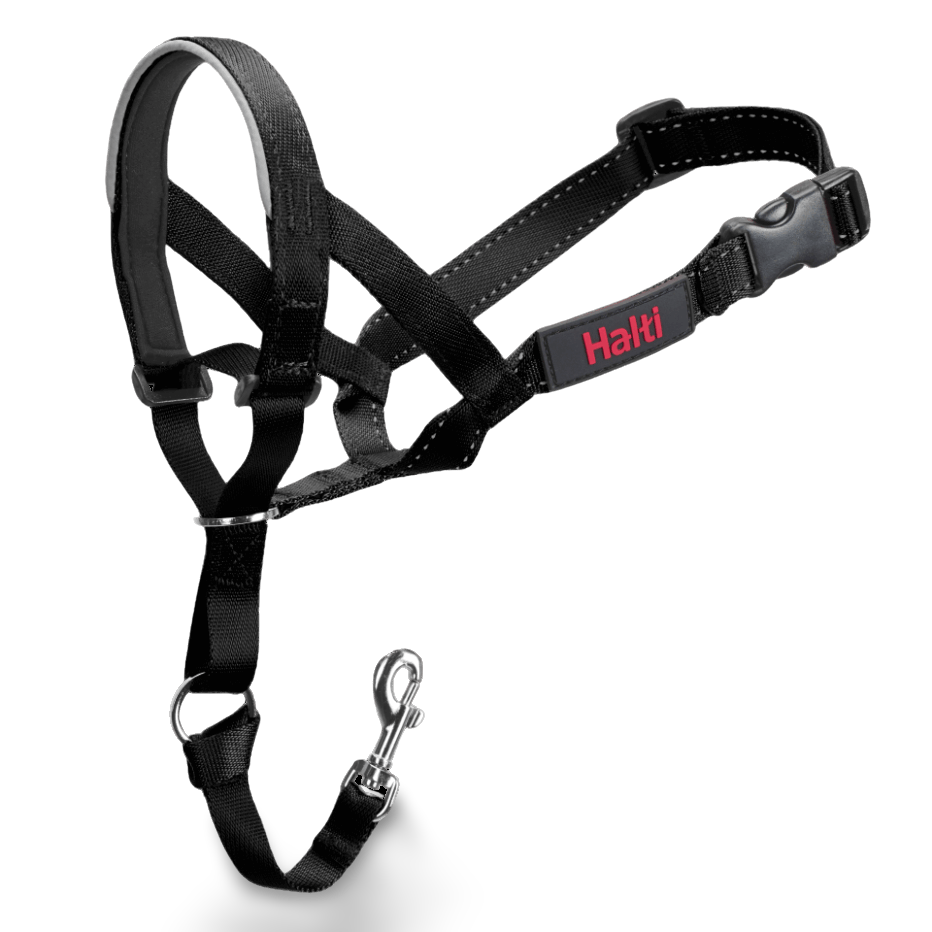 head collar