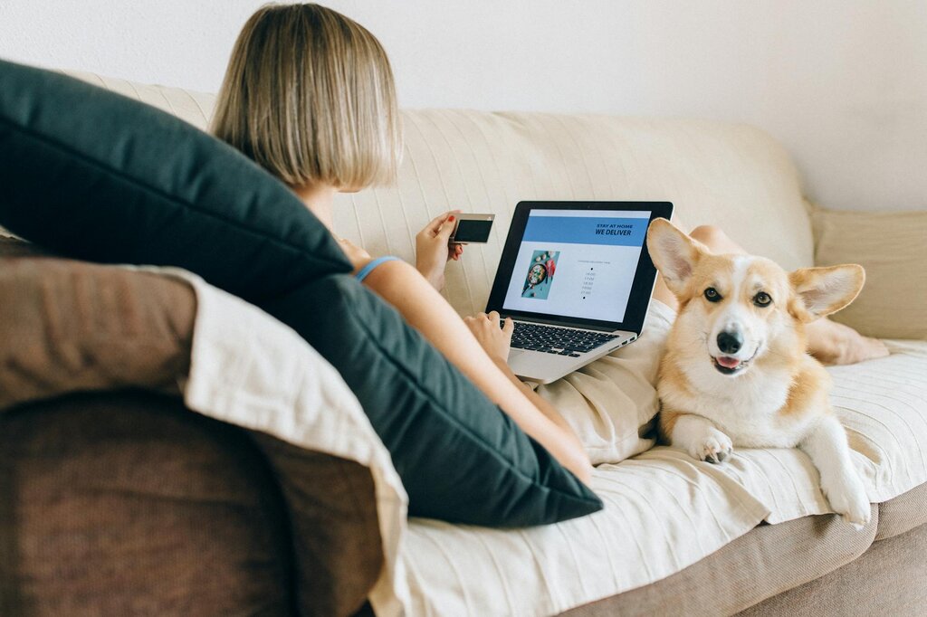 lady on computer with corgi dog lying next to her