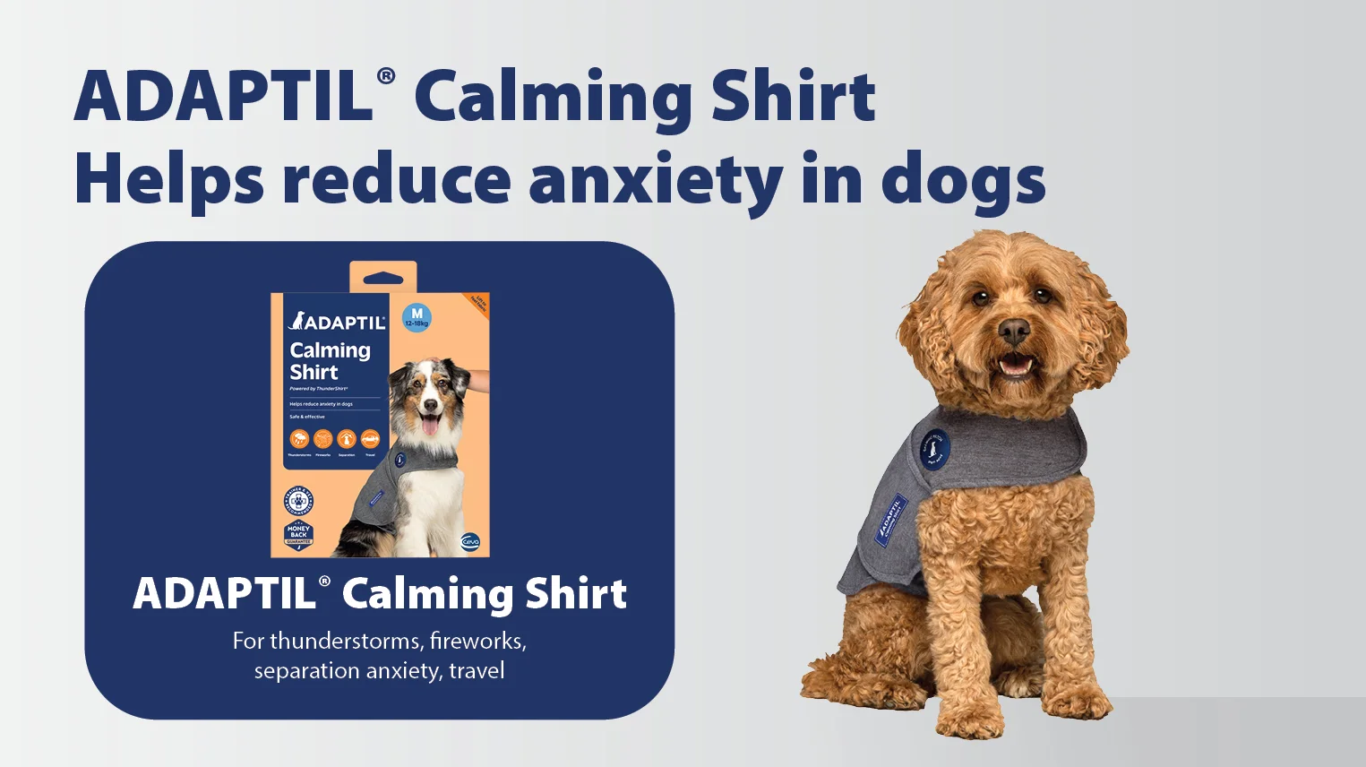 adaptil calming shirt