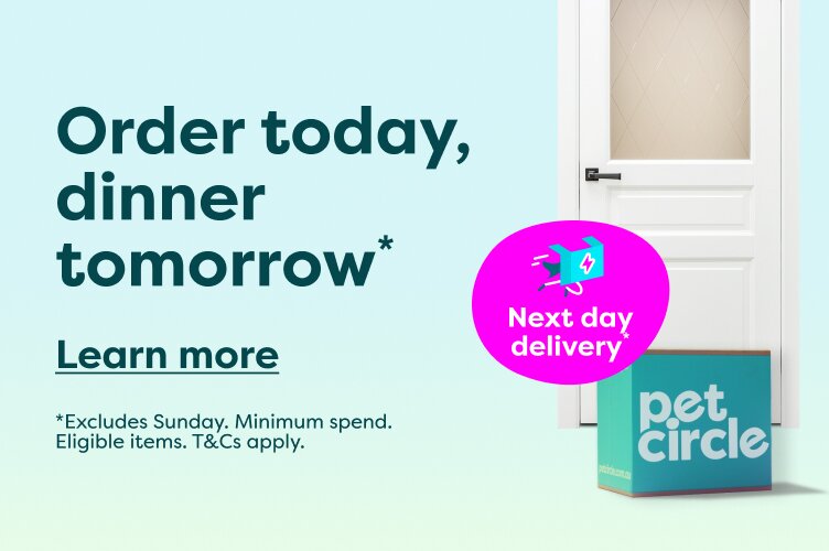 free next day delivery 