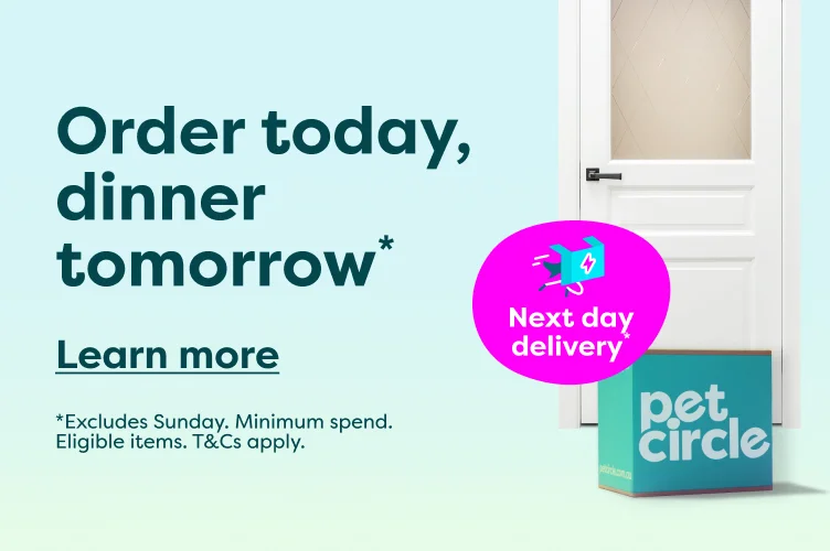free next day delivery 
