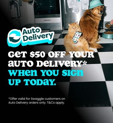 Auto Delivery Offer