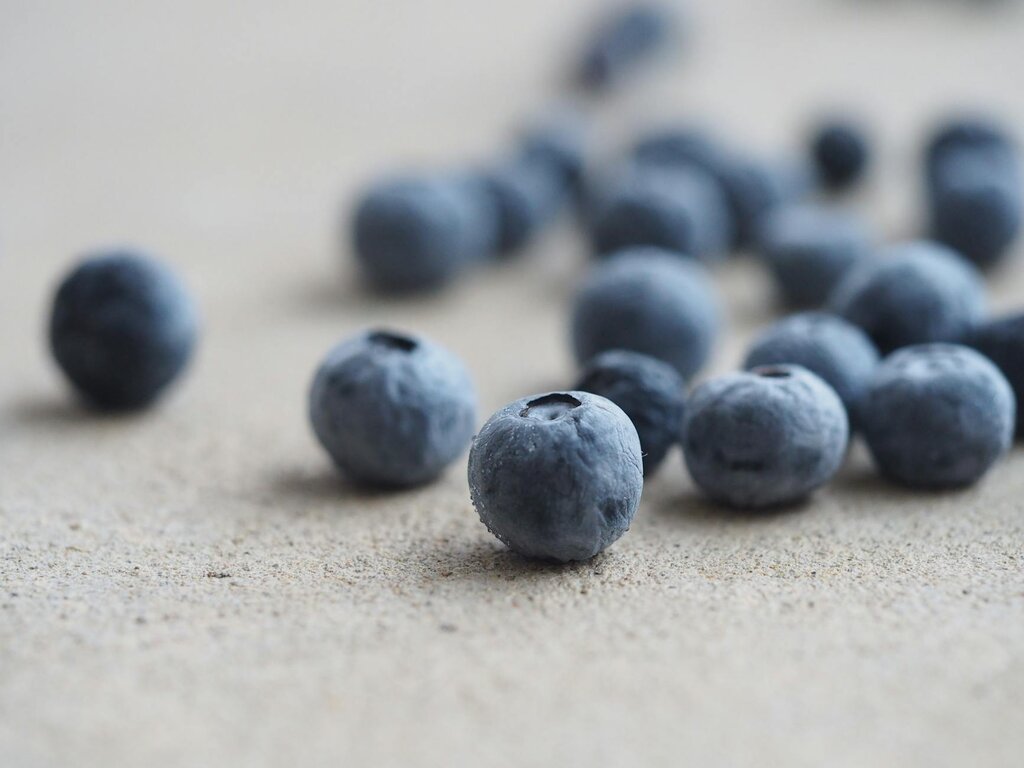 close up image of blueberries 