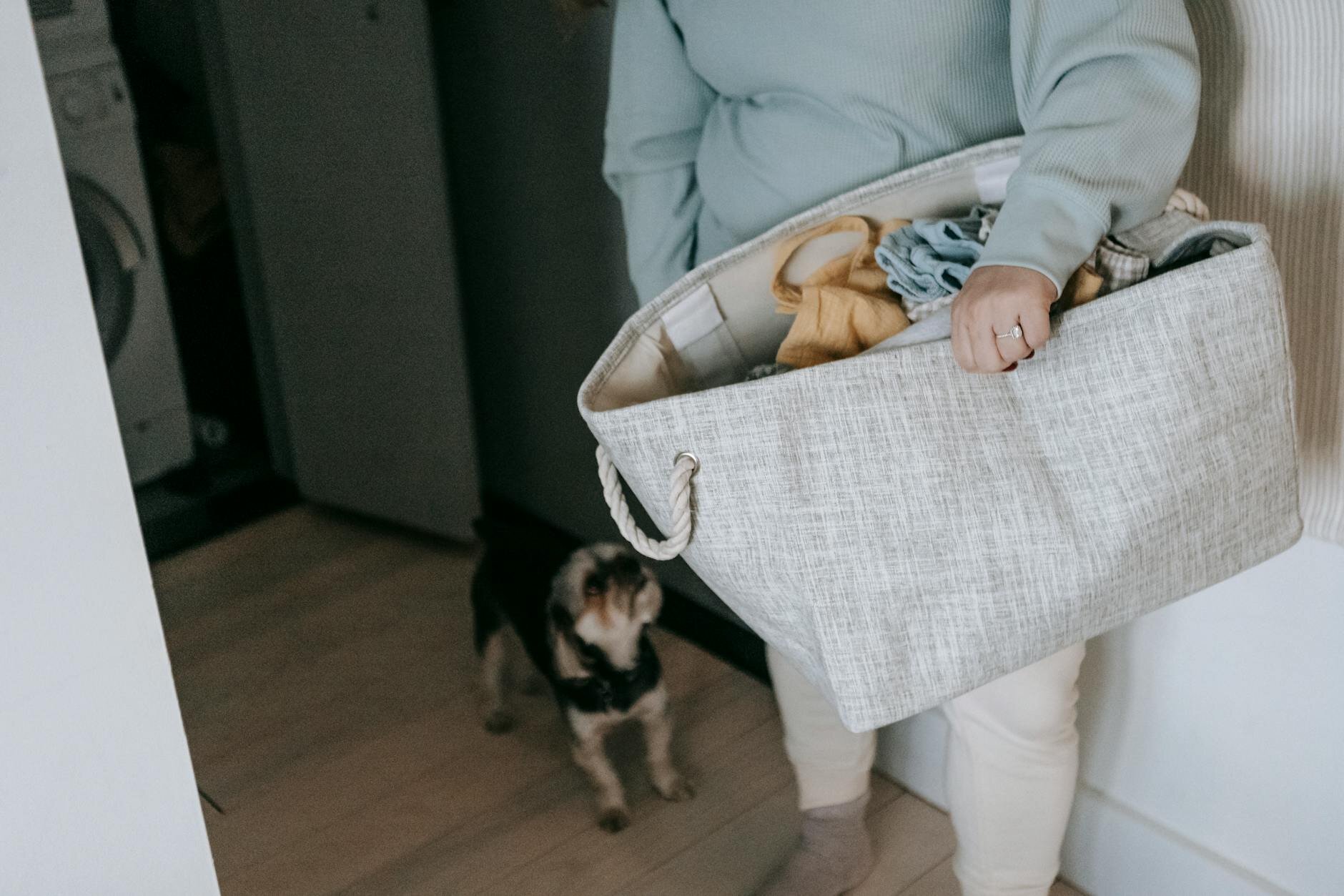 dog following lady holding washing basket in house