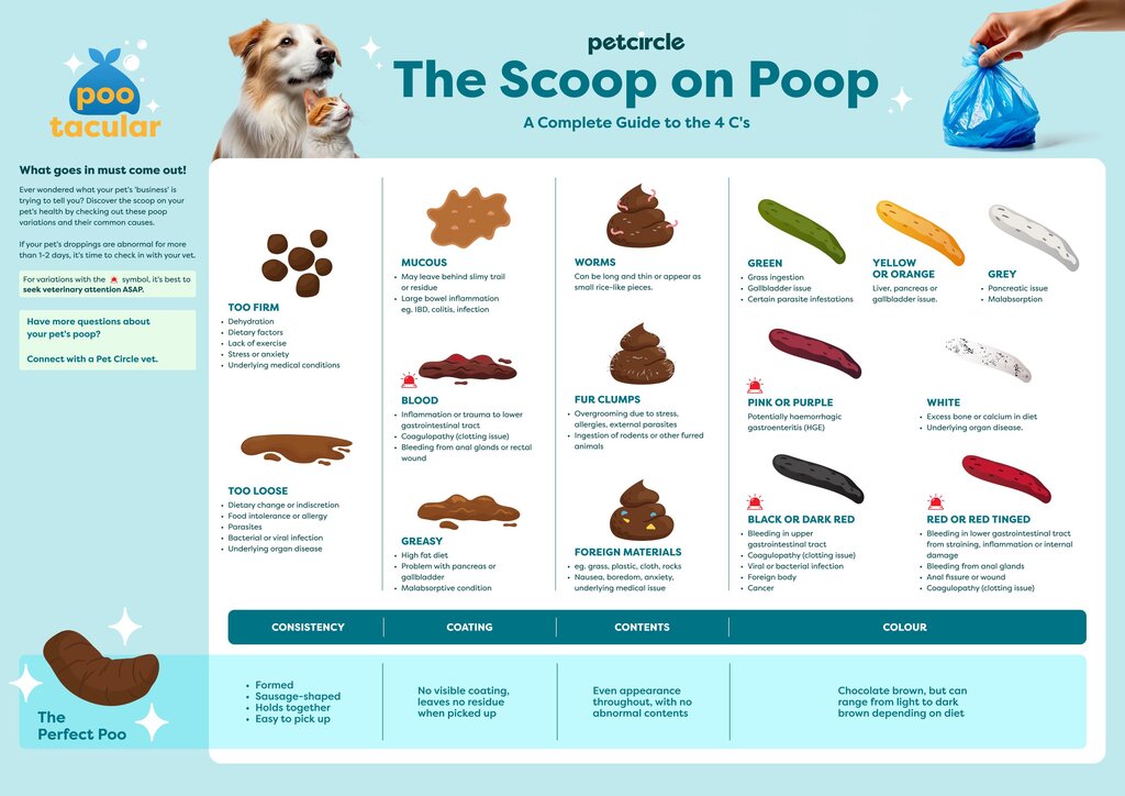 Pet poo chart 