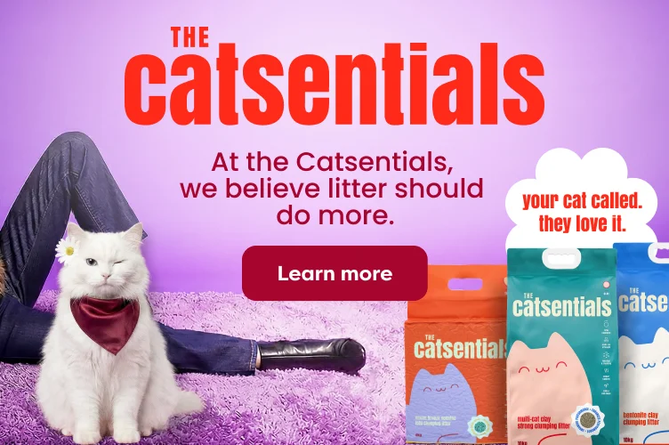 The Catsentials
