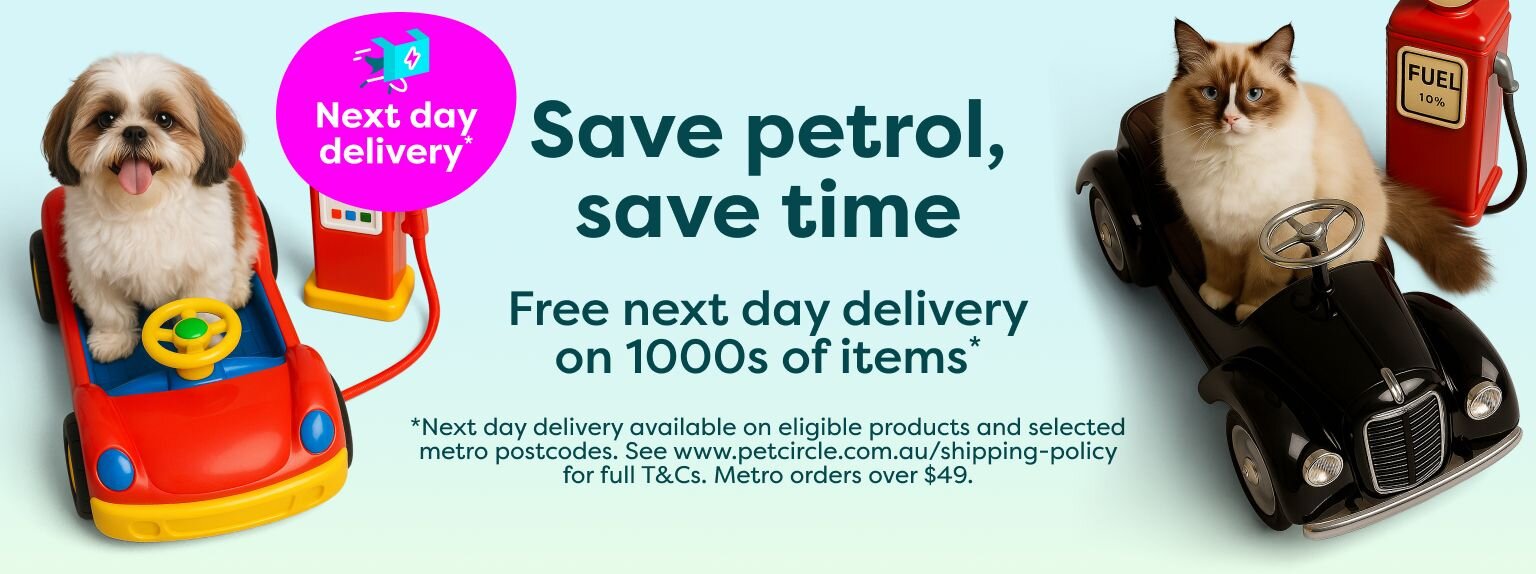 Next day delivery