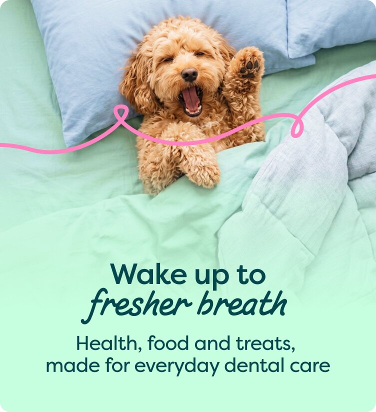 Wake up to fresher breath