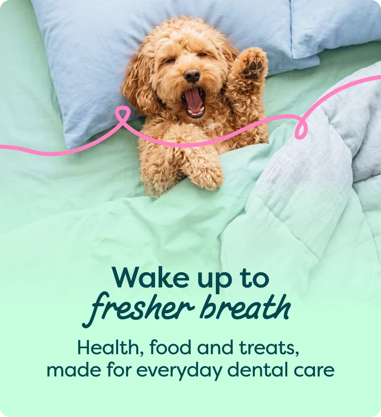 Wake up to fresher breath