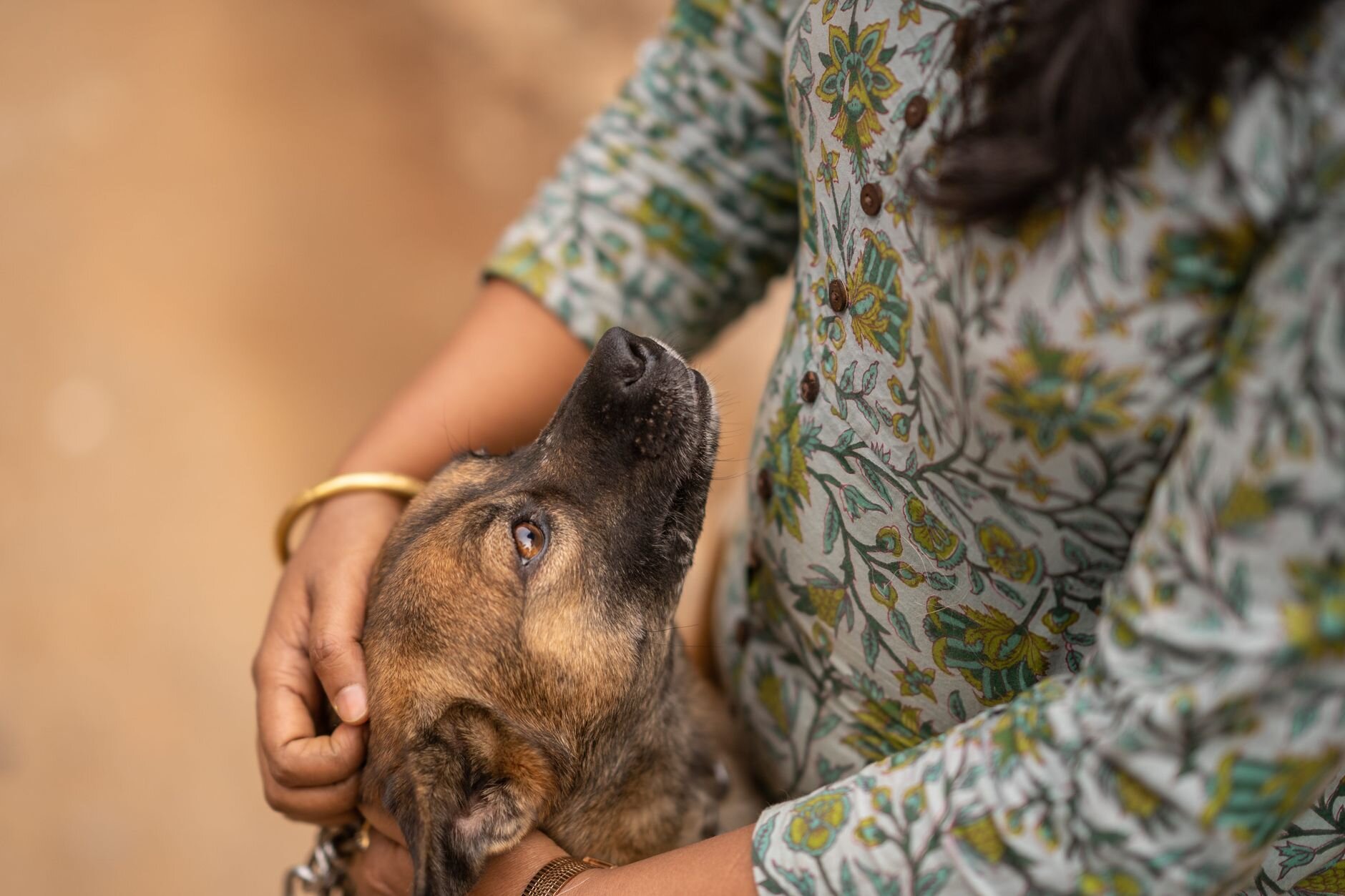 lady patting dog