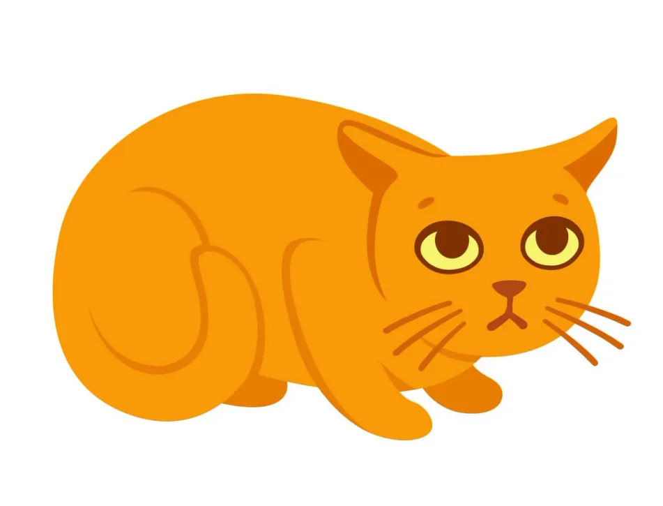 animation of anxious cat crouching