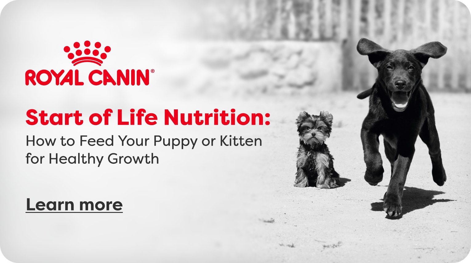 Start of Life Nutrition | Learn More 