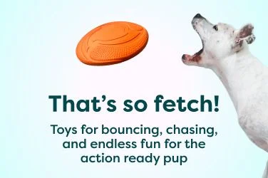 fetch toys
