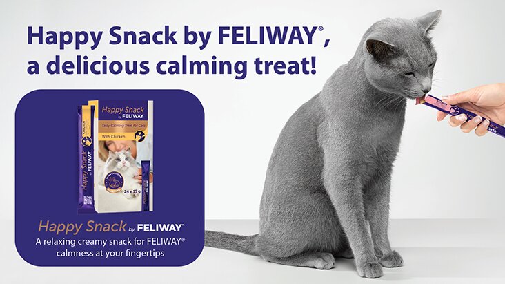 Feliway calming treats
