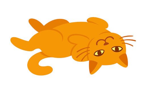 animated image of cat lying on back